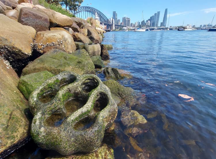 Sydney Institute of Marine Science (SIMS) 