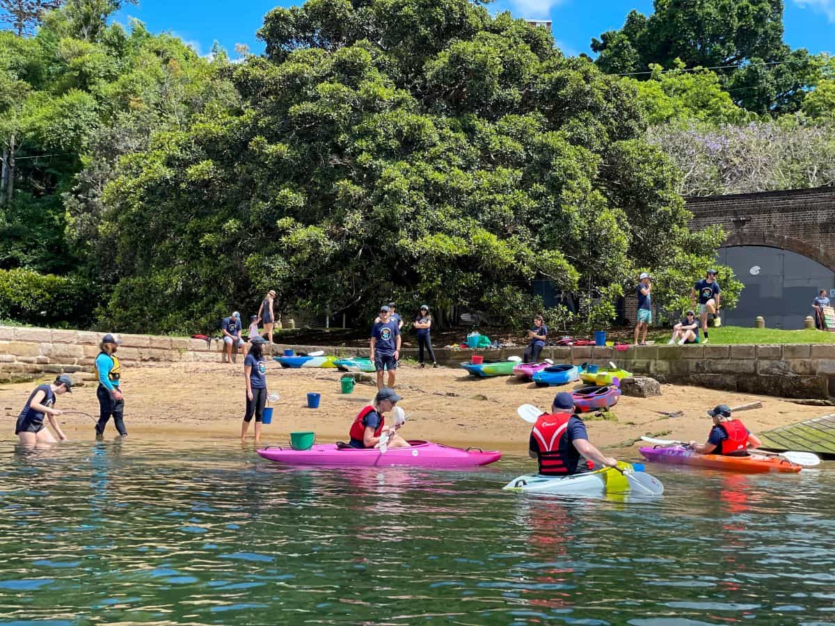 Colleagues paddling together on a corporate eco kayak tour on Sydney Harbour