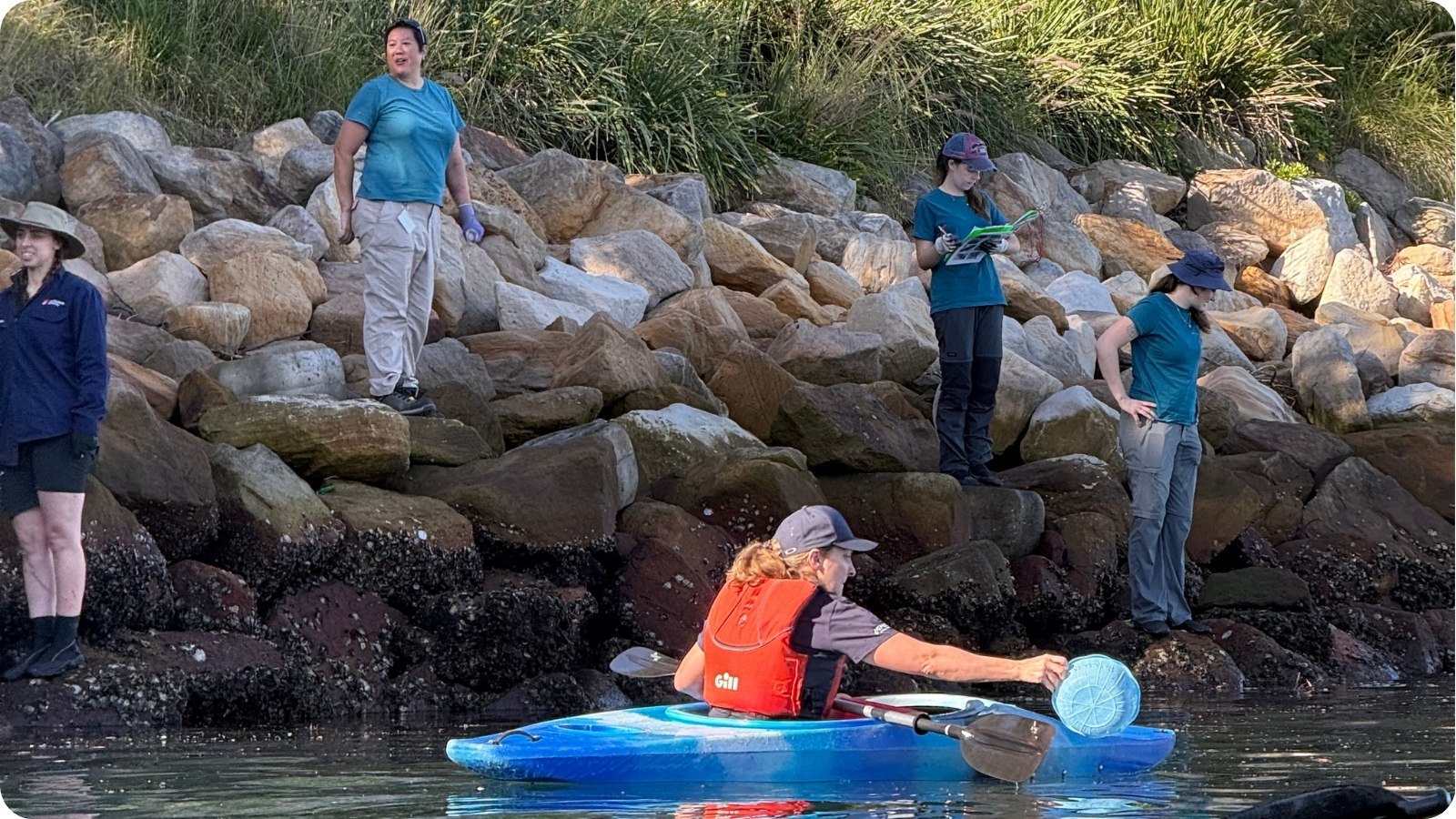 Cleaning Sydney Harbour with Sydney Institute of Marine Sciences